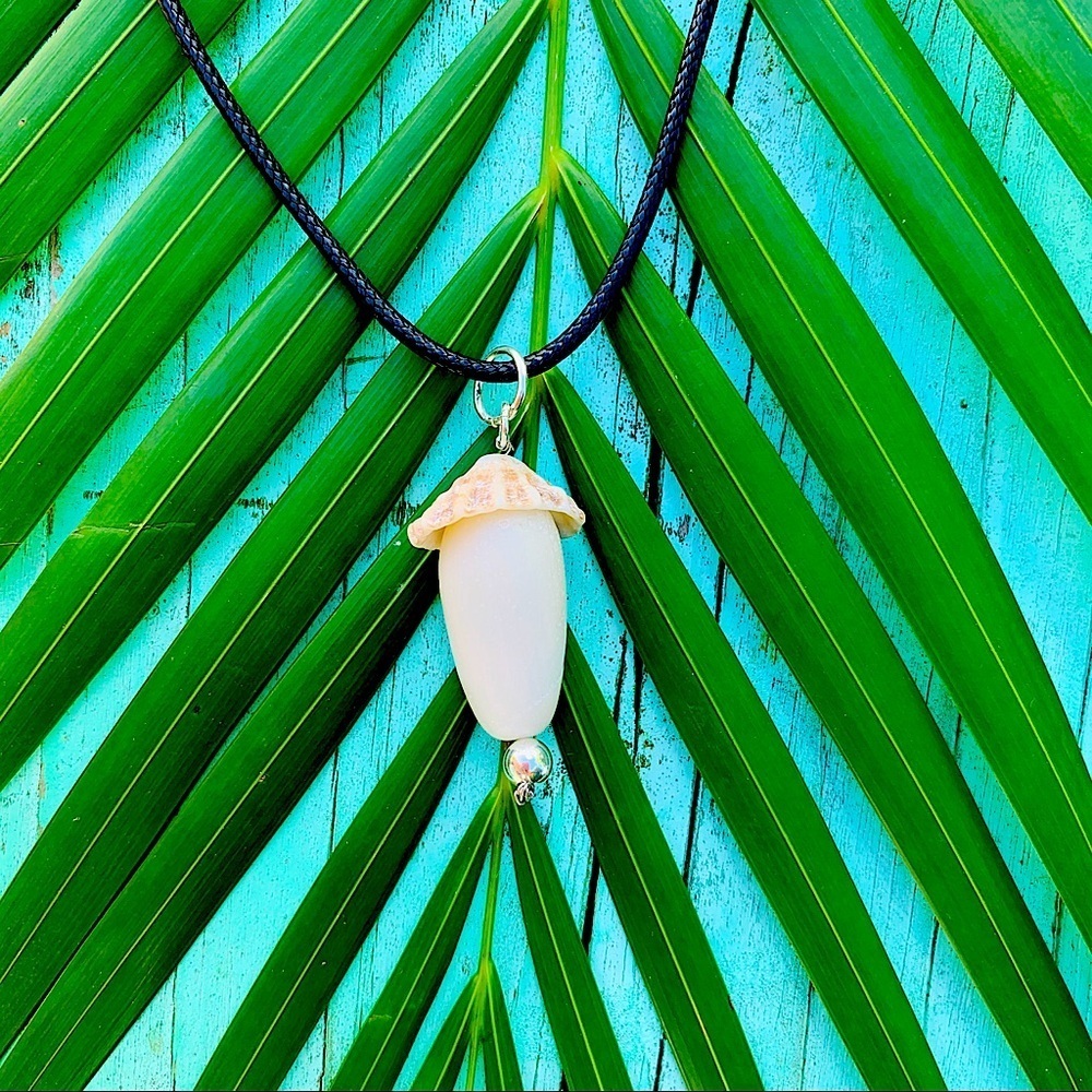 Olive Shell with a limpet hat necklace